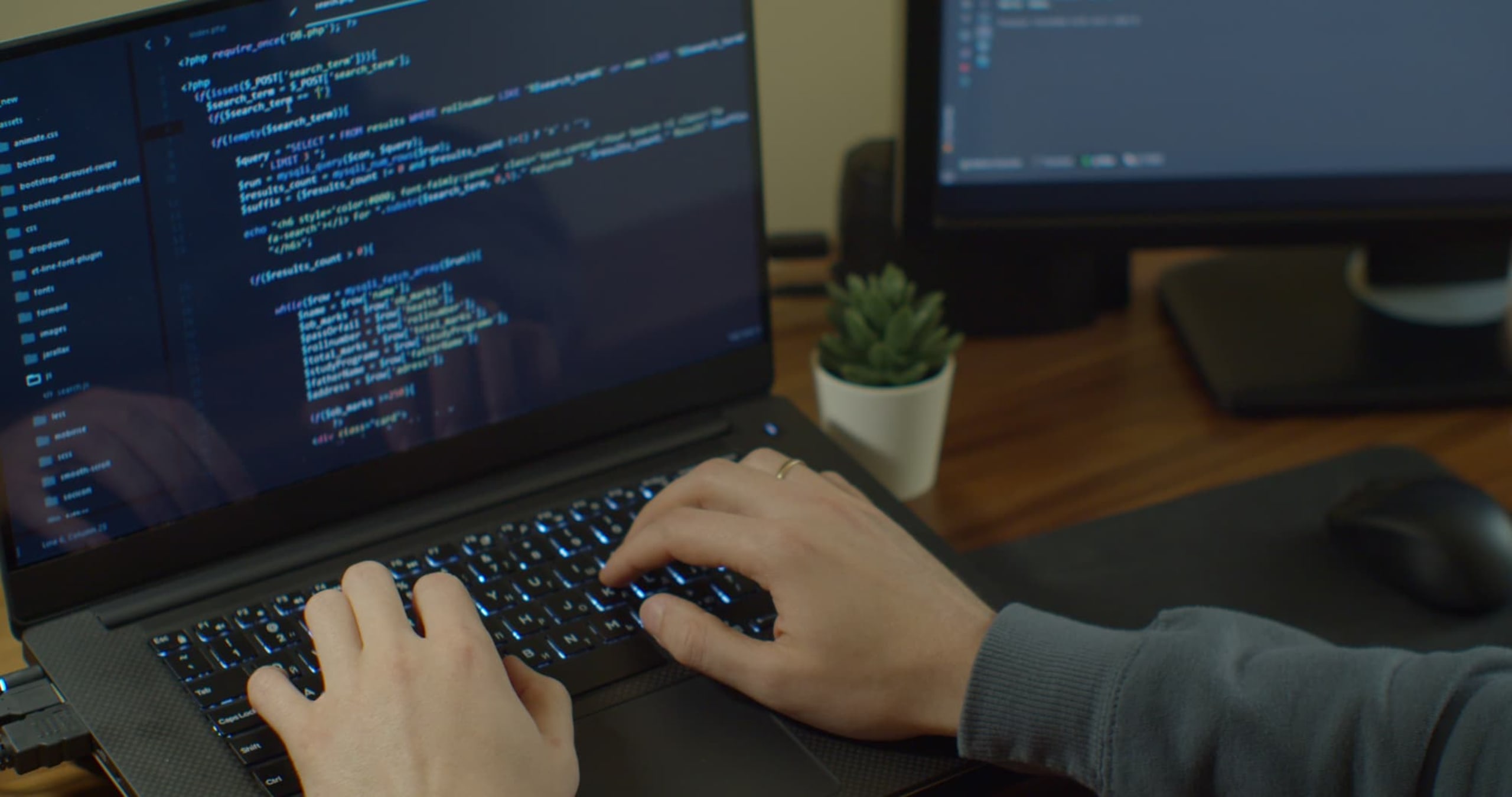 Web Development Degree Programs